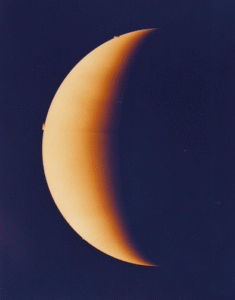 Venus Bild