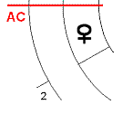 Venus im 1. Haus