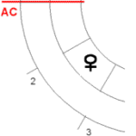Venus im 2. Haus